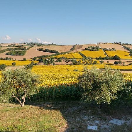 Agriturismo Vallelunga Ancône Extérieur photo