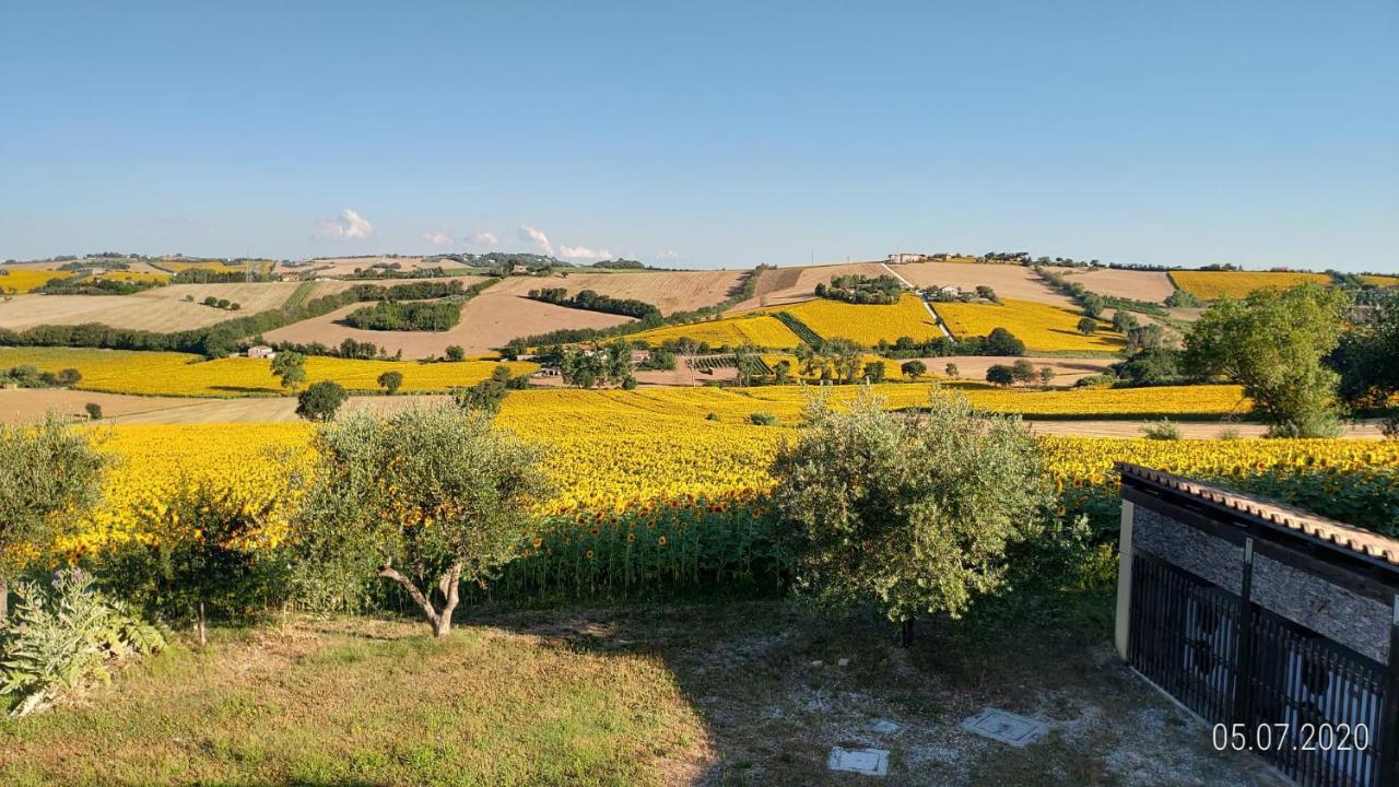 Agriturismo Vallelunga Ancône Extérieur photo