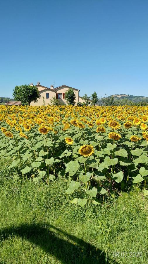 Agriturismo Vallelunga Ancône Extérieur photo