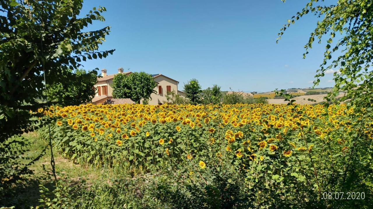 Agriturismo Vallelunga Ancône Extérieur photo